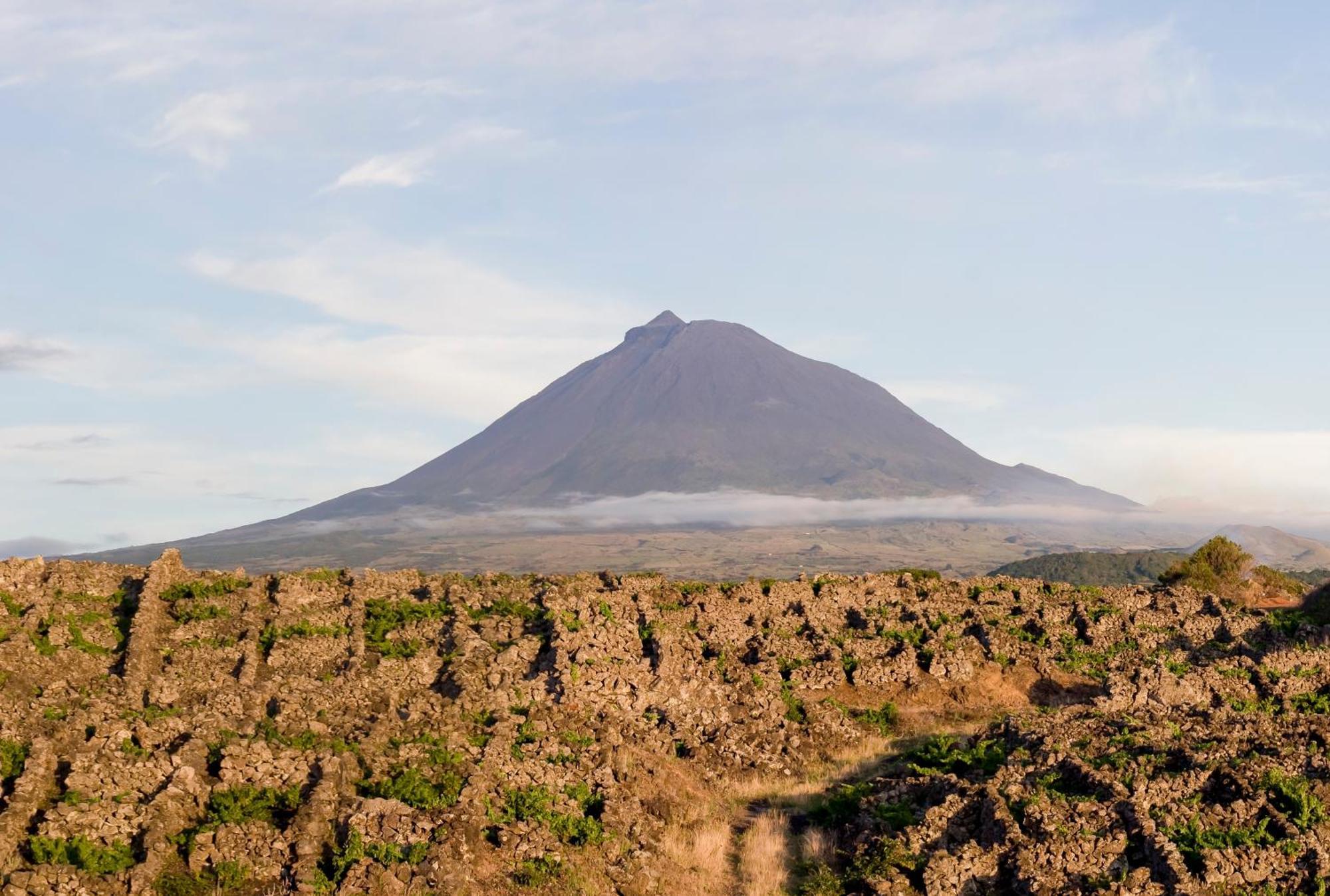 Casas Das Portas Do Mar E Das Portas Do Sol São Roque do Pico Eksteriør bilde